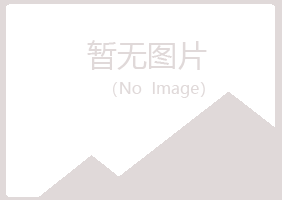 盐池县岑迷设计有限公司